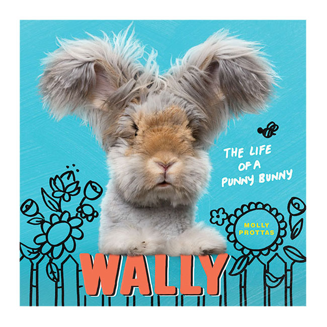 Wally (illustration)