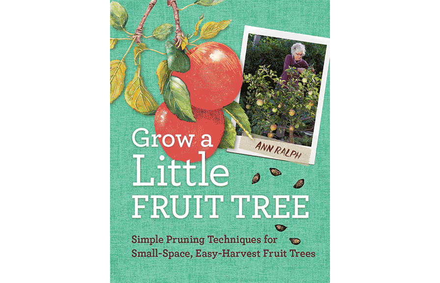 grow a little fruit tree
