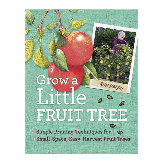 Grow a Little Fruit Tree (design + hand lettering)