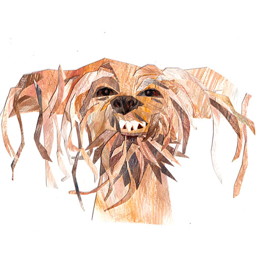 Collaged portraits (illustration)